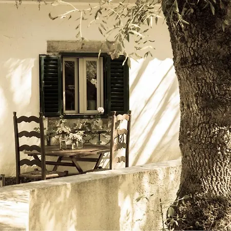 팜스테이 Quinta Da Caloura *