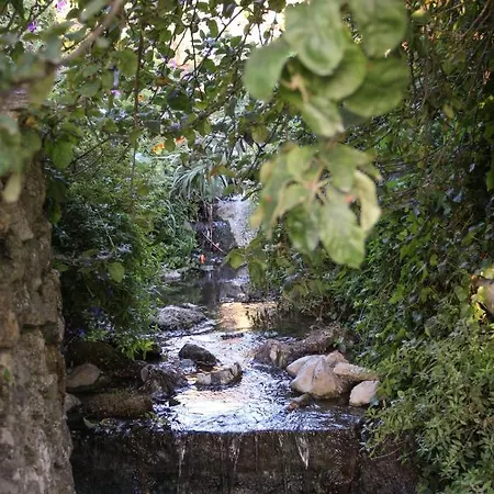 팜스테이 Quinta Da Caloura 신트라