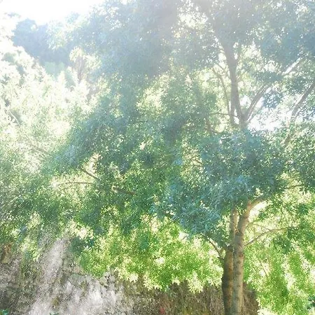 Quinta Da Caloura * 신트라